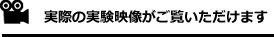 実際の実験映像がご覧いただけます